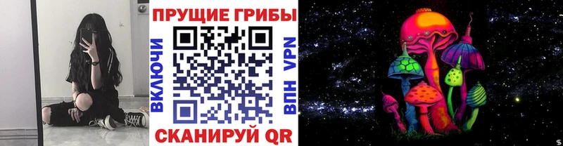 мега зеркало Печоры Псилоцибиновые грибы Psilocybe цены наркотик